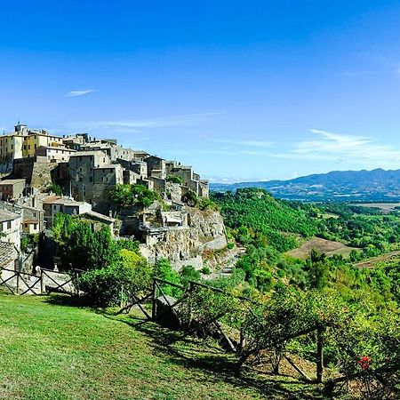 Cortile Nel Borgo Apartment Civitella dʼAgliano Exterior foto